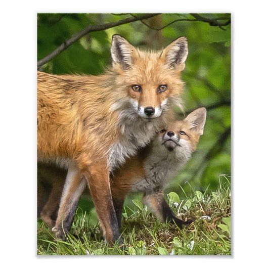 それが私のパパ フォトプリント            (正面)