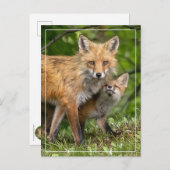 それが私のパパ ポストカード (正面/裏面)