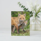 それが私のパパ ポストカード (スタンド正面)