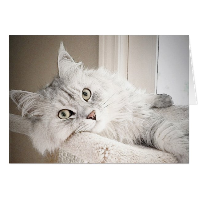 それで、猫の鳴き声カード (正面横)