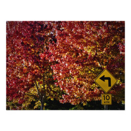 「それなら大丈夫だ」 フォトプリント           