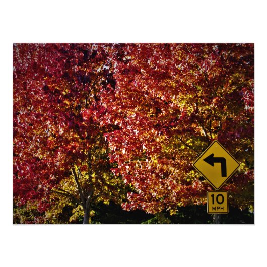 「それなら大丈夫だ」 フォトプリント            (正面)