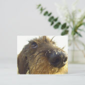 それについて考えは…かわいいダックスフント ポストカード (スタンド正面)