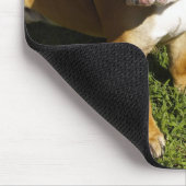 それに残りを与えて下さい! マウスパッド (コーナー)