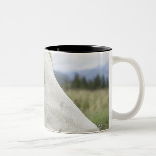 それの印を持つブラウン牛か。飼育用地のsの耳、 ツートーンマグカップ (右)