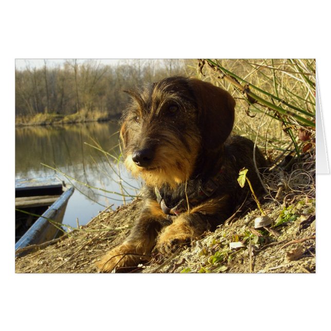 それの監視 (正面横)