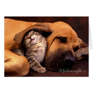 それはあなたとある権利をそう感じます