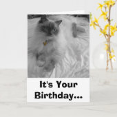 それはあなたの誕生日…です カード (黄色い花)