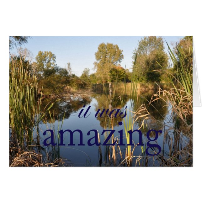 それはすばらしかったです (正面横)