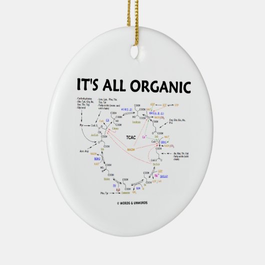 それはすべてのオーガニックです(Krebs周期のユーモア) セラミックオーナメント (右)