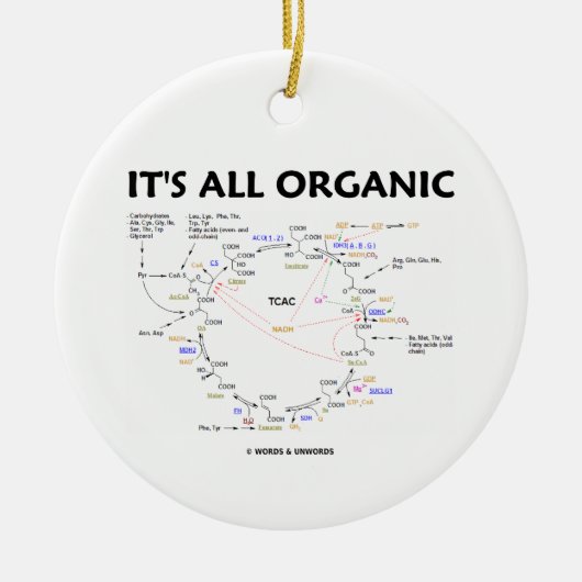 それはすべてのオーガニックです(Krebs周期のユーモア) セラミックオーナメント (正面)