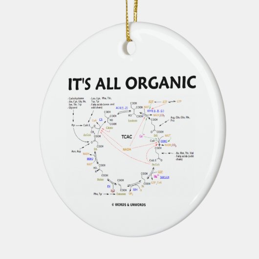 それはすべてのオーガニックです(Krebs周期のユーモア) セラミックオーナメント (左)