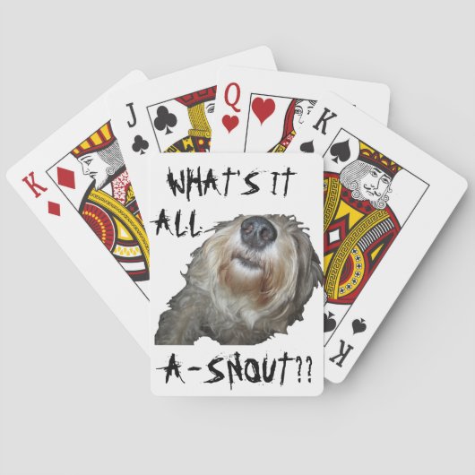 それはすべてのA-SNOUTがか。か"。である何犬" トランプ (裏面)