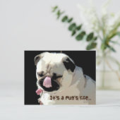 それはですパグの生命… 郵便はがき ポストカード (スタンド正面)