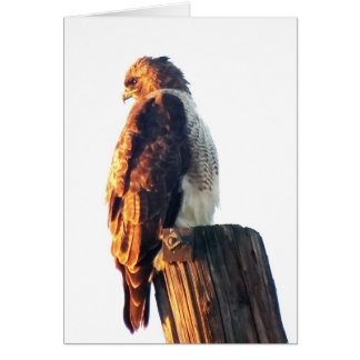 "それはではないですよい十分…."たる製造人のタカ