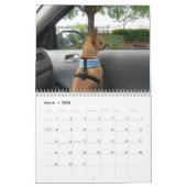 それはキーの事のチワワのカレンダーです カレンダー (3月 2026)