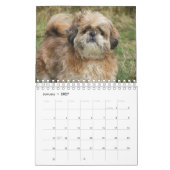 それはシーズー（犬）のTzu世界だ カレンダー (1月 2027)