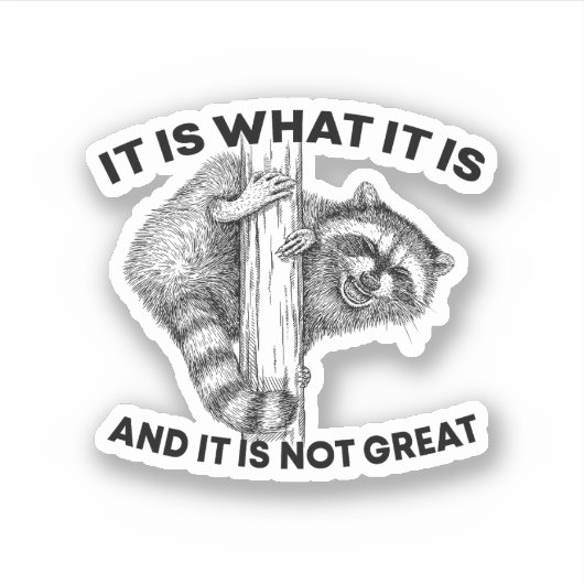 それは何であり、それはアライグマではない素晴らし シール (正面)