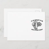 それは何であり、それはアライグマではない素晴らし ポストカード (正面/裏面)