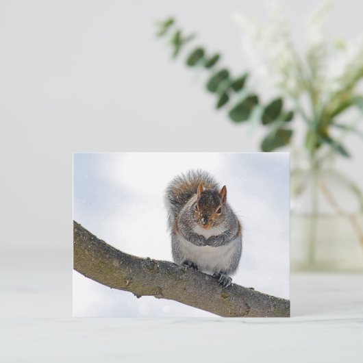 それは冷たいここに郵便はがきです ポストカード (スタンド正面)