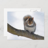 それは冷たいここに郵便はがきです ポストカード (正面/裏面)