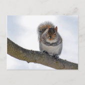 それは冷たいここに郵便はがきです ポストカード (正面)