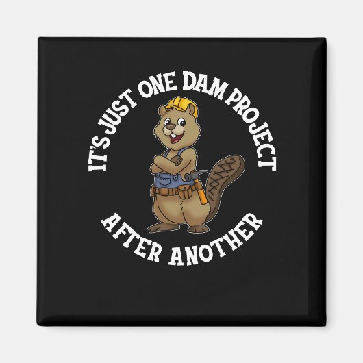 それは別の便利屋に次ぐダム計画だ マグネット (正面)