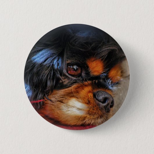 それは堅い生命.......です 缶バッジ (正面)