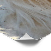 それは夢だっ風変わりた ポスター (コーナー)