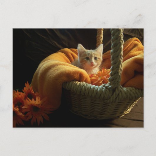 それは大きい世界の郵便はがきです ポストカード (正面)