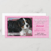 それは女の子です-写真カードをかわいがって下さい 案内状 (正面/裏面)