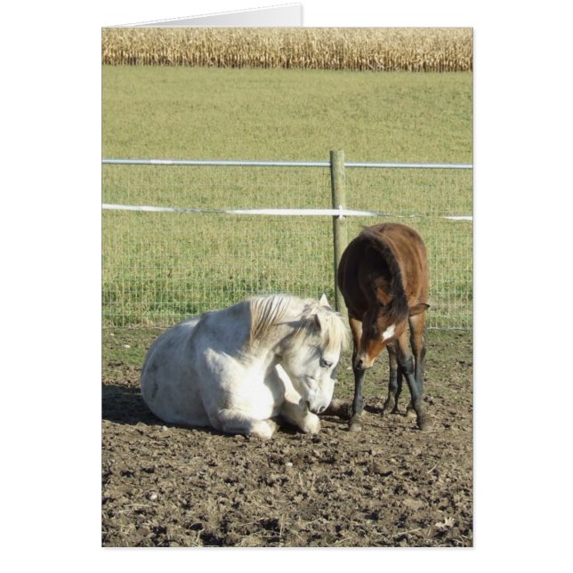 それは忍耐カードを取ります (正面)