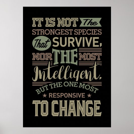 それは最も強い種ではない生き延び ポスター (正面)