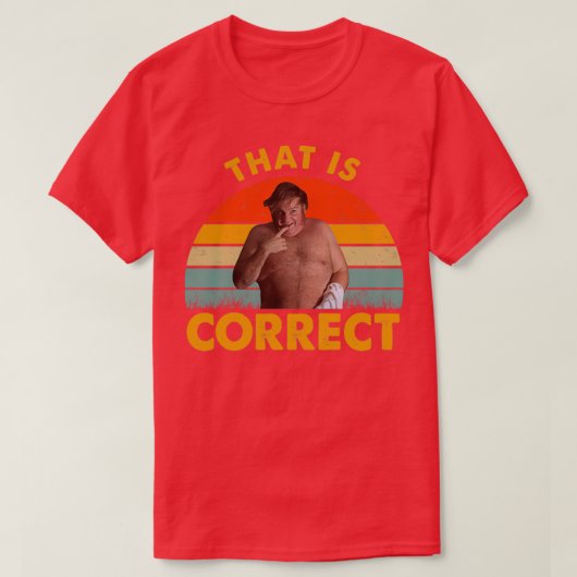 それは正しいシャツだ Tシャツ (デザイン正面)
