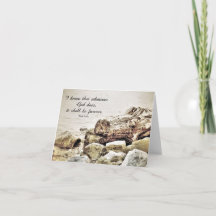 それは永遠になる – 聖なる書物、 経典カード