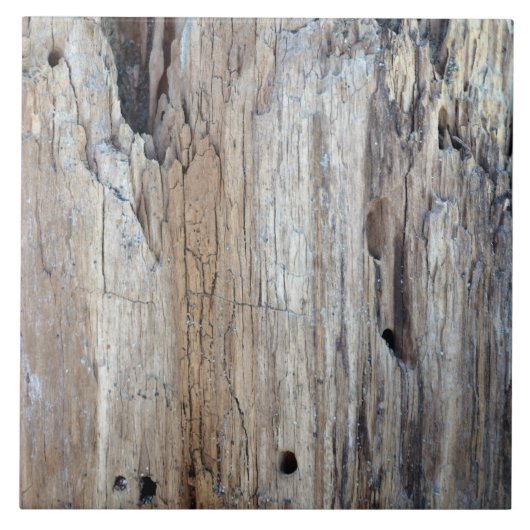 それは流木の部分あります タイル (正面)