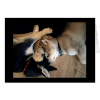 それは犬の生命です