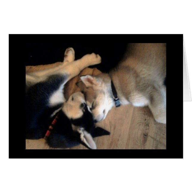 それは犬の生命です (正面横)