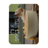 それは犬の生命磁石だ マグネット (縦)