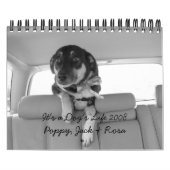 それは犬の生命2008年です カレンダー (カバー)