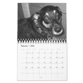 それは犬の生命2008年です カレンダー (2月 2026)