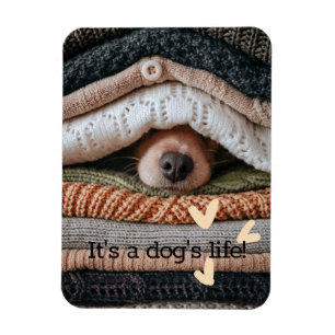 それは犬の生活の柔軟なフォトマグネットである マグネット