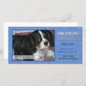 それは男の子です-写真カードをかわいがって下さい 案内状 (正面/裏面)