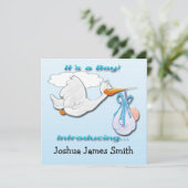 それは男の子のこうのとりの誕生の発表です 案内状 (スタンド正面)