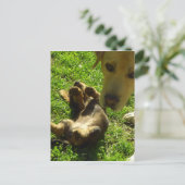 それは私ではなかった ポストカード (スタンド正面)