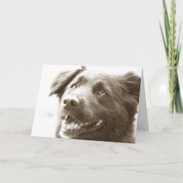 それは素晴らしく会います! サンキューカード