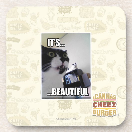 それは美しいです コースター (正面)