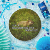 それは聖燭節の奇跡のプレートです ペーパープレート (パーティー)