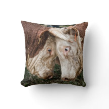 それは雄牛ではないです