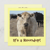 それは集合です! 牛ドライブお祝い 招待状 (正面/裏面)